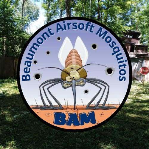 BAM